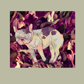 французский бульдог  в ирисах