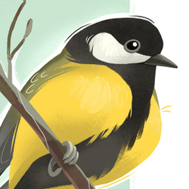 Птички - Открытки