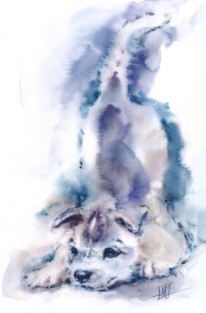 Голубой щенок