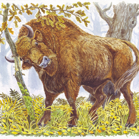 А гэты хлопец і без "Зуброўкі" п'яны - каханне, аднак!