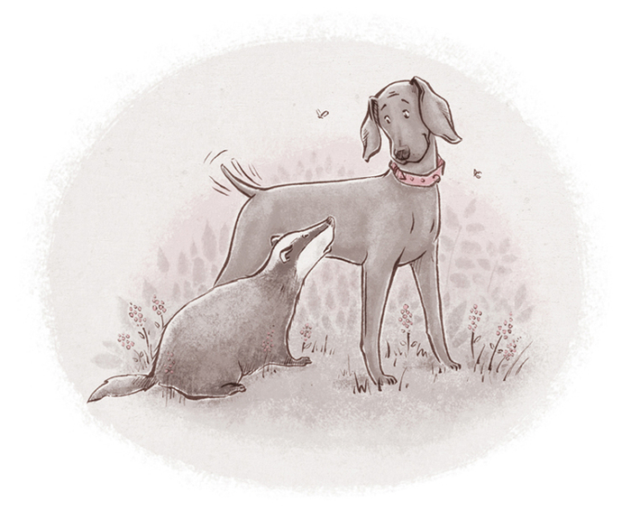 Привет, барсук!