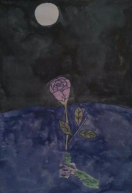 Водяная роза