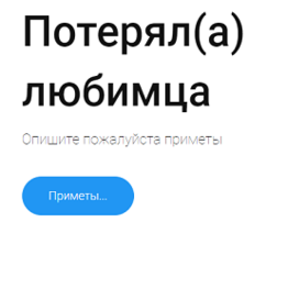   Оригинальный ресурс для поиска пропавших животных «Iskal-Nashel»