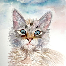 Рисунок кота акварелью