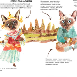 тайские(сиамские коты) в национальных костюмах