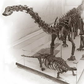 Московский ПИН