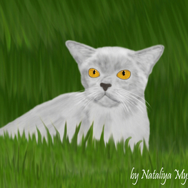 Кошка в траве