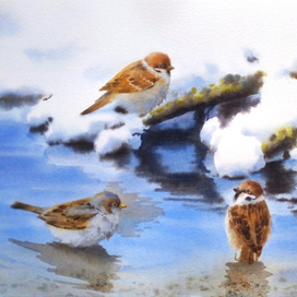 Весна. Водные процедуры.