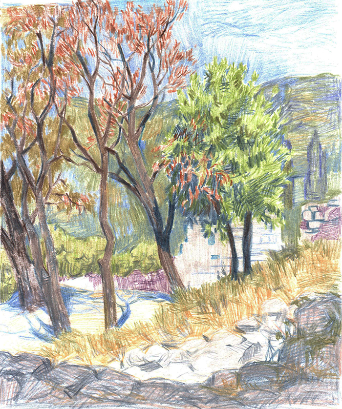 Черногория. Старый Бар