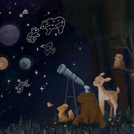 Ночное небо