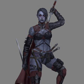 Dark elf assassin