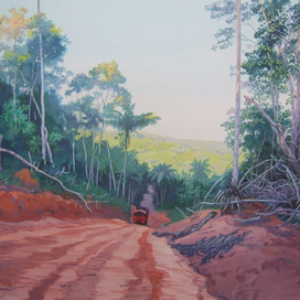 Дорогами Амазонаса. В ожидании попутки (вариант №2)