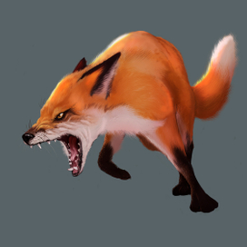 концепт позы лисы