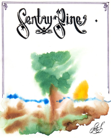 Sentry Pine