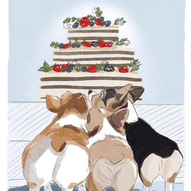 Открытка с Днём Рождения из серии «Собаки»