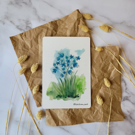 Первоцветы