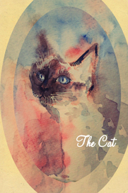 The Cat