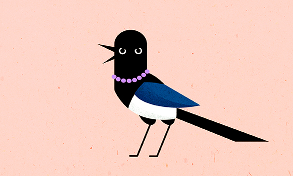 Носки и сорока