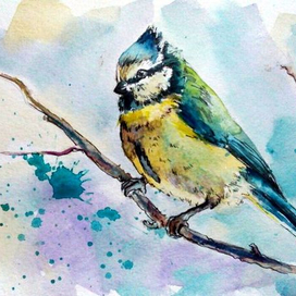 лазоревка (а5 формат)