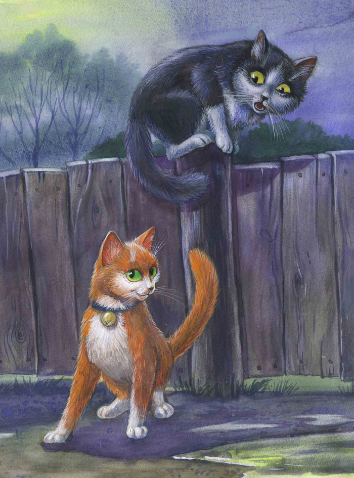 встреча котов