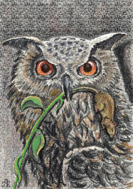 Лунный совух