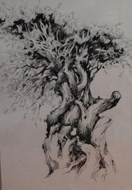 из серии "Деревья"