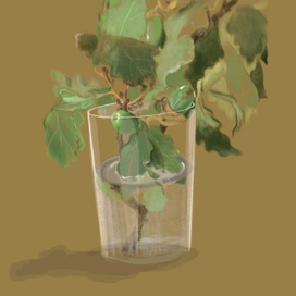 Желуди в стакане