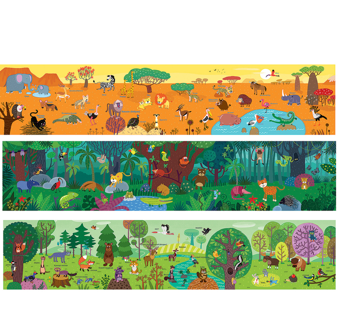 животные мира