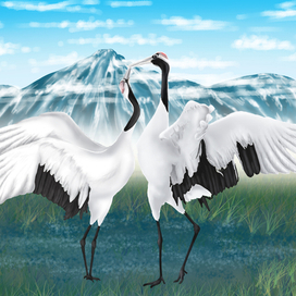 Танец журавлей