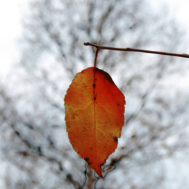 Последний лист ...