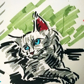 Котики-котики