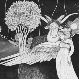 Тень её Крыла