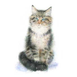 Кот с голубыми глазами