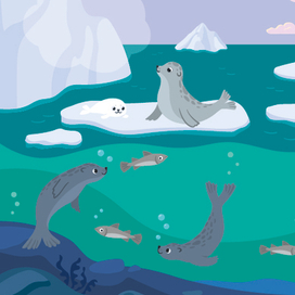 Обитатели северных морей