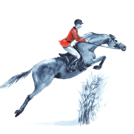 Конный спорт