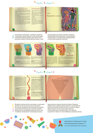 Дизайн-проект книги «Детям о сексе»