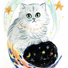 Кот и звезды ⭐️ 