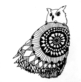 Owl 7