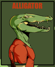 alligator