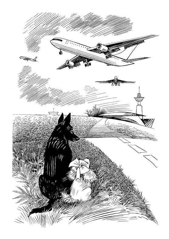 Люк и Бонни