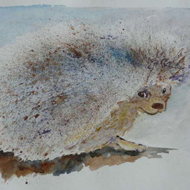 Колючий клубок