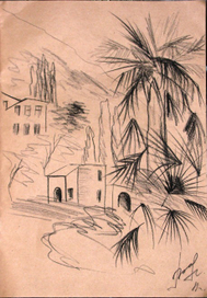 Абхазия.В Гаграх