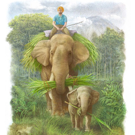 Рави и Шави