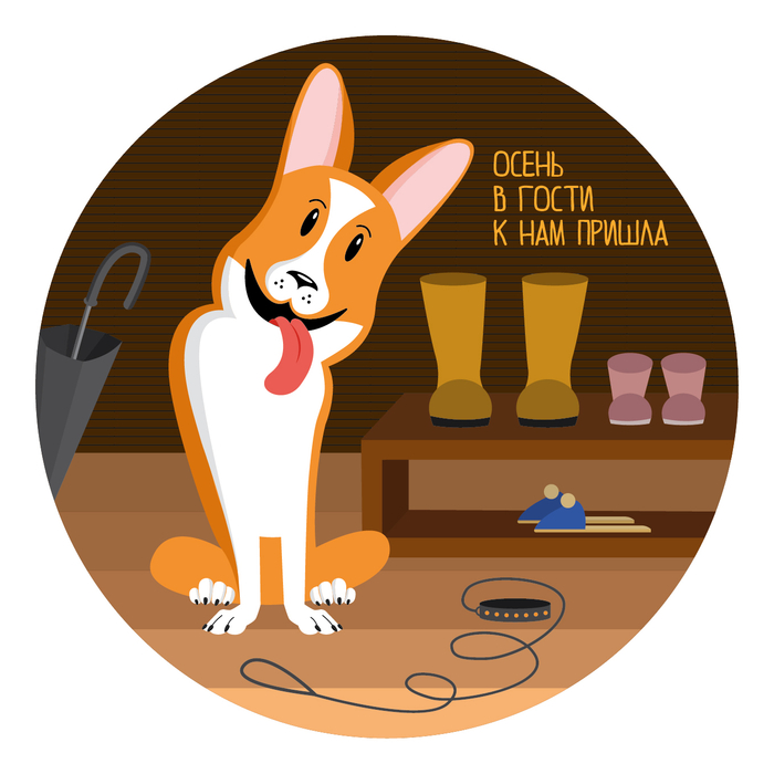 Осень в гости к нам пришла