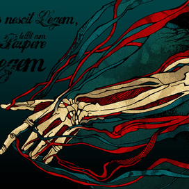 Mors nescit legem, tollit cum pauper regem