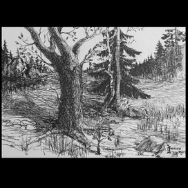 Работы прошедшего 2022