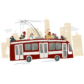 куры в городе