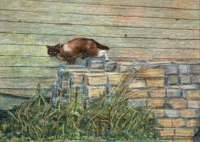 САМ ПО СЕБЕ