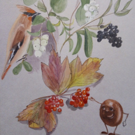 Свиристель