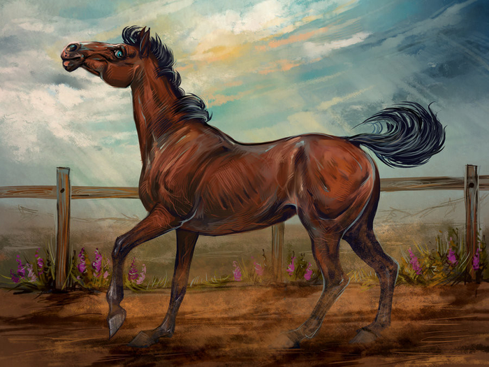 Верховая лошадь